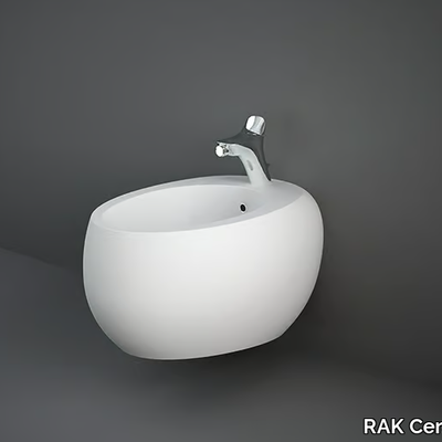 wall-hung-bidet-rak-ceramics-415221-rel24fbeae3.jpg