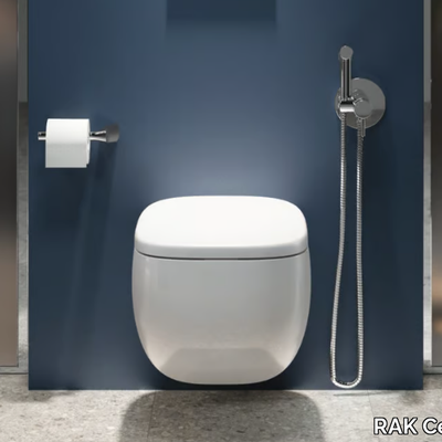 toilet-rak-ceramics-414742-rel43e4b962.jpg