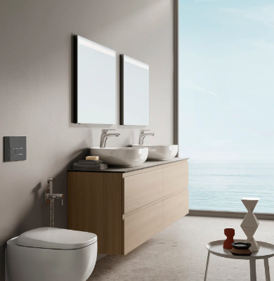 toilet-rak-ceramics-414742-rel4feec0b7.jpg