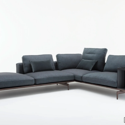 sofa-rolf-benz-469988-rel68ad0a07.jpg