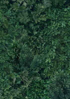GREEN-WALL-STON-606686-rel50cbc79d.jpg