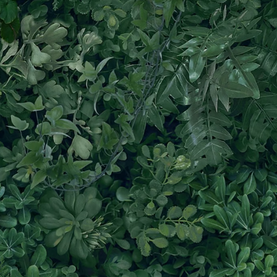 green-wall-ston-606686-relf769b76.jpg