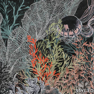keys-reef-stylgraph-638732-rel3c8150ce.jpg