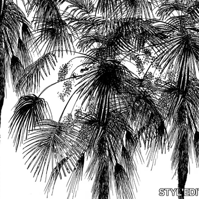 natura-stylgraph-638680-rel5a4f6218.jpg