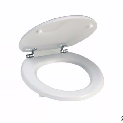 toilet-seat-saniline-by-thermomat-260235-relcc27da52.jpg