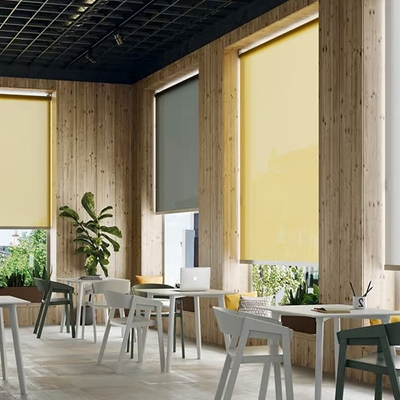 Roller-blind-Saxun-637153-rel6cb05f9f.jpg