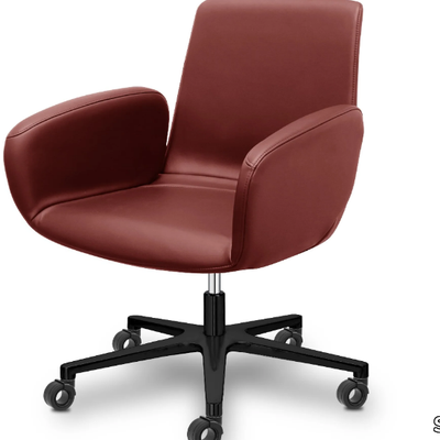 WHY-NOT-Low-back-executive-chair-Sitland-386816-rel24c19ba2.jpg