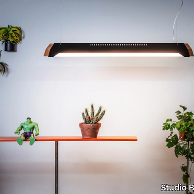 ALFA-Studio-Beam-608166-rel87551c33.jpg