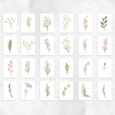 HERBARIUM-Studijo-556573-rel8876c5b3.jpg