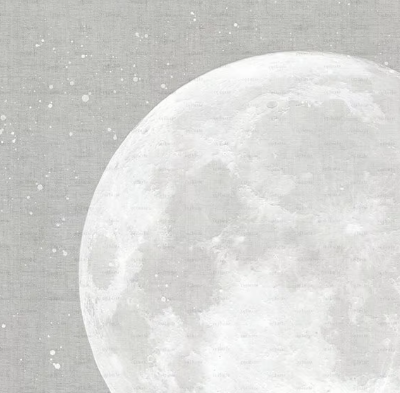 MOON-Studijo-556569-rel7a4ca35b.jpg