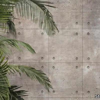 PALM-TREE-Studijo-556309-rel9a249d9f.jpg