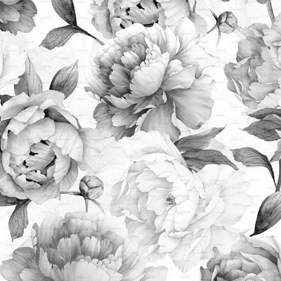 PEONIES-BLACK-AND-WHITE-Studijo-556304-relc274ecca.jpg