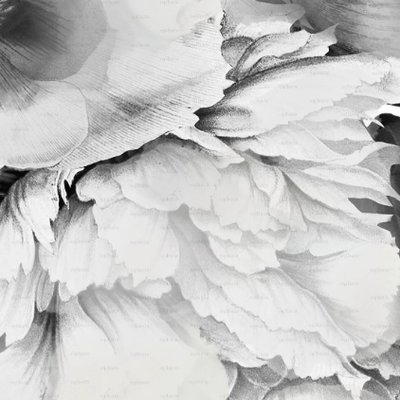 PEONY-ONE-PEONY-Studijo-556306-relc2ad23a1.jpg