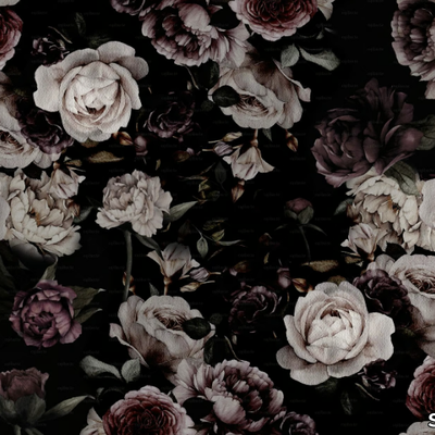 ROSE-IS-A-ROSE-Studijo-556305-relcf4348b9.jpg