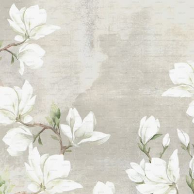 WHITE-MAGNOLIA-Studijo-556322-relaa5f7f3a.jpg