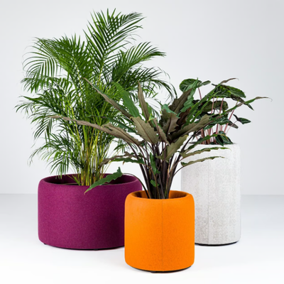BuzziPlanter-BuzziSpace-462448-rel270304c7.jpg
