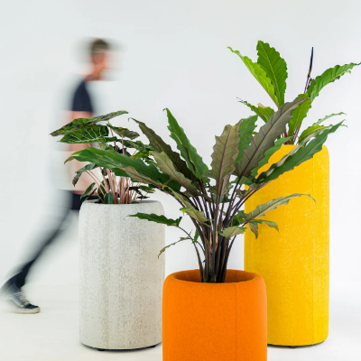 BuzziPlanter-BuzziSpace-462448-rel9ed4a738.jpg