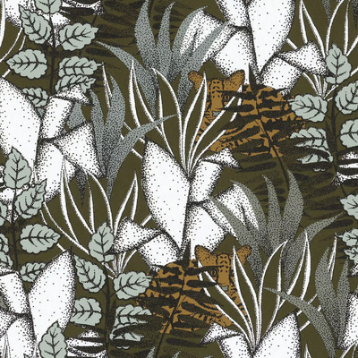 CASAMANCE_TIGRIS_jDAknJ9MZK.jpeg