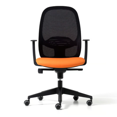 office-chair-with-armrests-diemme-465510-rel25ac818b.jpg