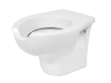 h_10262-wall-hung-toilet-for-disabled-idral-spa-286780-relcb412936.jpg