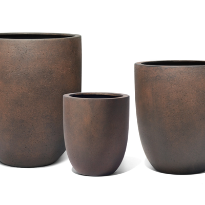 CUMINO-Jardinico-557530-rel7ccc4233.jpg