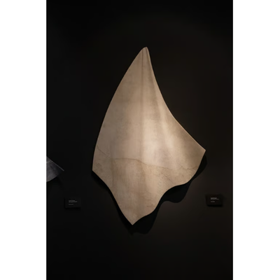 MARGRAF_VELATA-DRAPES_BiXyVLZ1Ch.jpeg