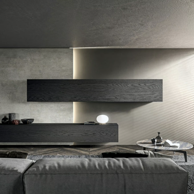 blade-wood-veneer-storage-wall-modulnova-544873-rel7badd646.jpg
