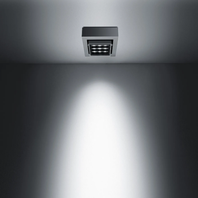 CATCH-SURFACE-SIMES-404558-relfef89ef2.jpg