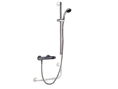 h_270-i-grab-bar-saniline-by-thermomat-259896-rel133dbbd2.jpg