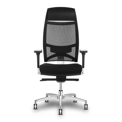 TEAM-STRIKE-Executive-chair-Sitland-619979-rel7bca42f9.jpg
