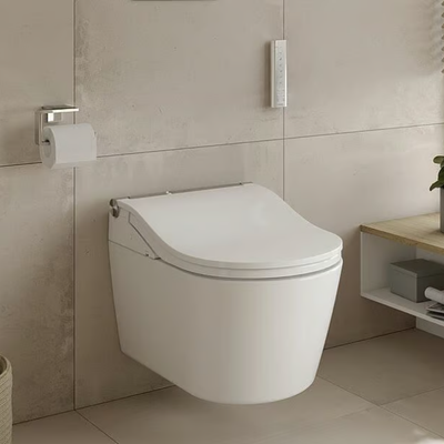 TOTO_WASHLET-RW-AUTO-FLUSH_48Lz9zXp9.jpeg