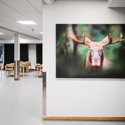 ANCA_Norrkoping_forskolan-3.jpeg