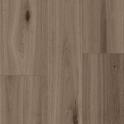 ASP03_Umber.jpg