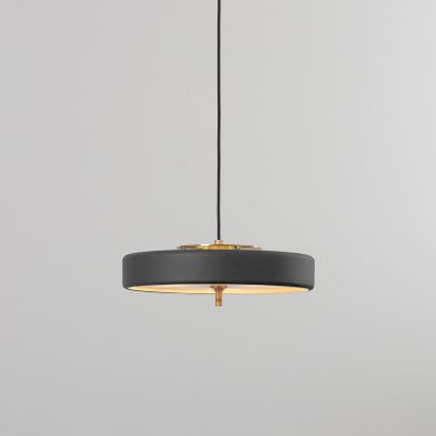 acf.Left_Revolve_Pendant.jpg