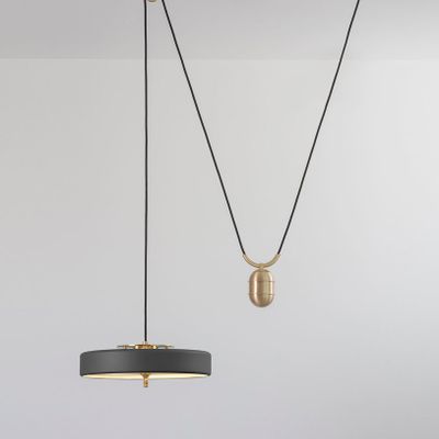 acf.Left_Revolve_Pendant_RiseFall.jpg