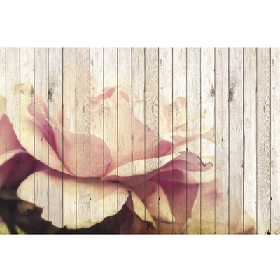 flower-creativespace-255523-relb4e4c6b3.jpg