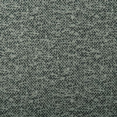 6012_Stretchy_204011.jpg