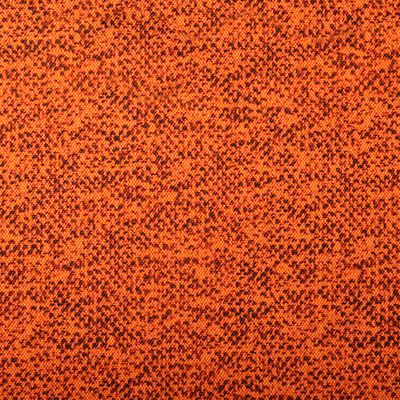 6034_Stretchy_204011.jpg