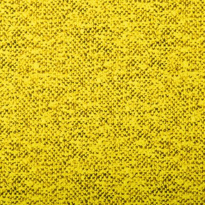 6042_Stretchy_204011.jpg