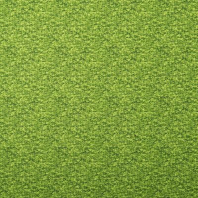 6147_Stretchy_204012.jpg