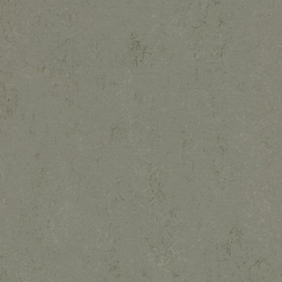 248238_3755.webp