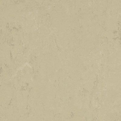 248244_3761.webp