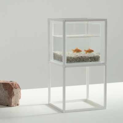 IPOT-AQUARIUM-iPot-583450-relae2dfd3c.jpg