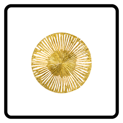 Fotos-website-1-4.png