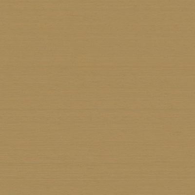 Vescom-sinkiang-2105.08-hi-res