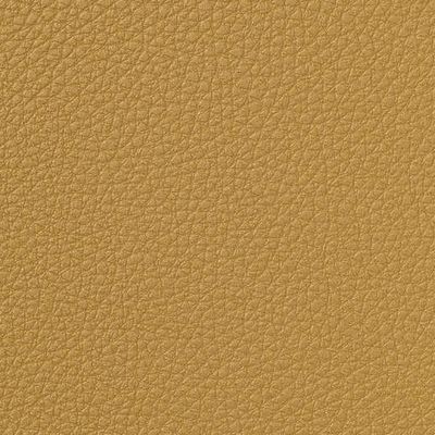 leone plus - 7054.01