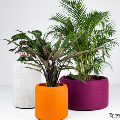 BuzziPlanter-BuzziSpace-462448-rel270304c7.jpg