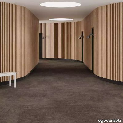 6-RFM55752019.webp