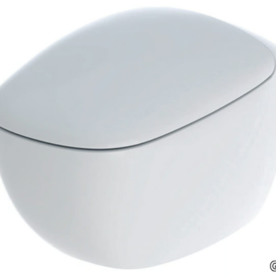 citterio-wall-hung-toilet-geberit-503612-rele60fa3da.jpg