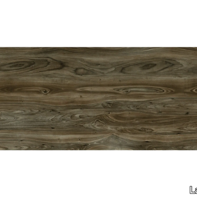 LEGNO-VENEZIA-NOCE-Laminam-553339-rel9d9d1638.jpg
